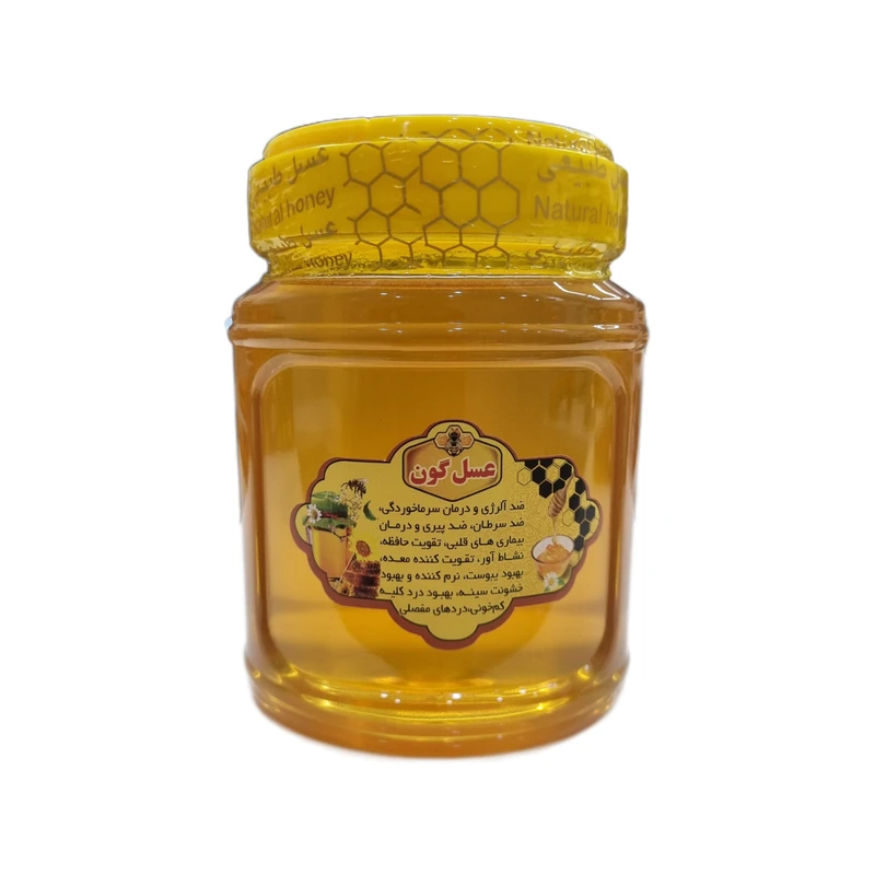 عسل طبیعی گون - 500 گرم
