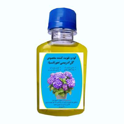 گل ادریسی نماد چیست - آشنایی با نحوه نگهداری و تقویت و ویژگی های گل ادریسی آبی، صورتی و بنفش - راهنمای خرید کود تقویتی برای گل ادریسی
