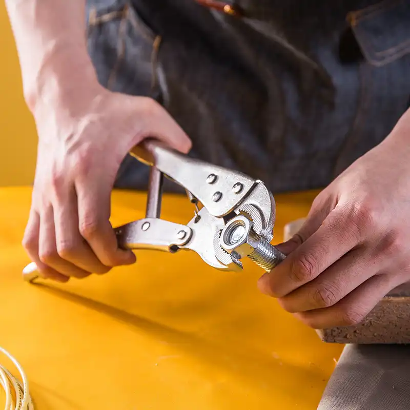 انبر قفلی دلی مدل DL2001 سایز 10 اینچ