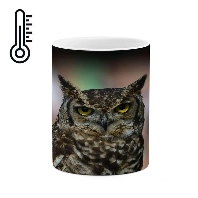 ماگ حرارتی کاکتی مدل جغد کد mgh14768