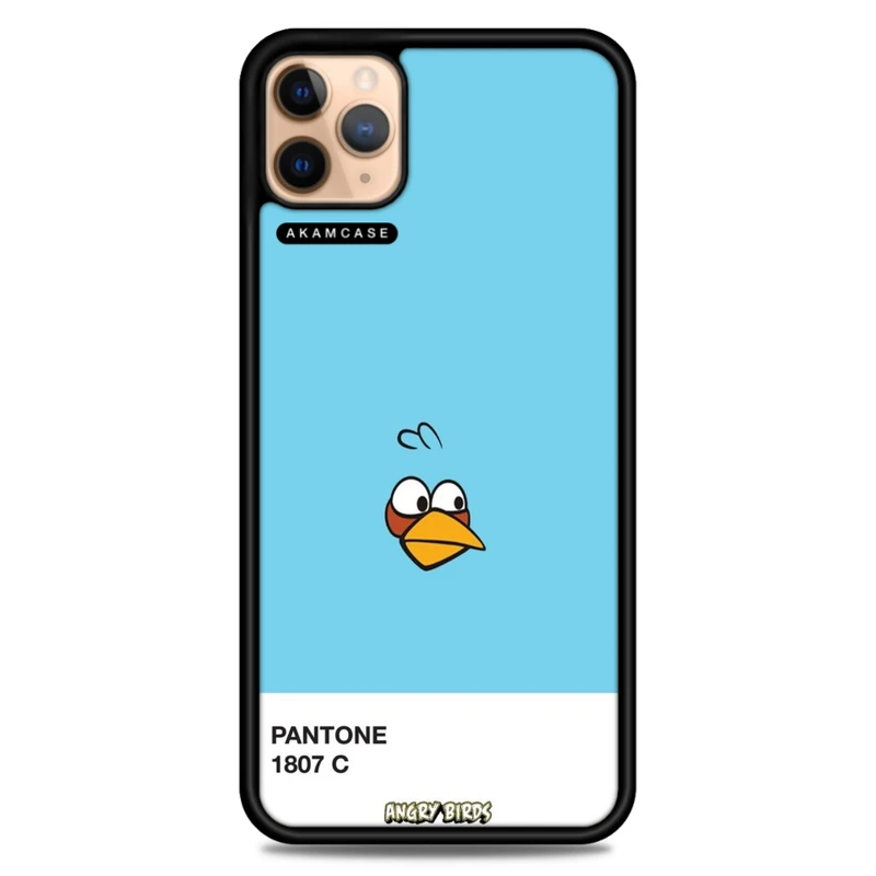 کاور آکام مدل AMC-WA11PRO-ANGRY BIRDS10 مناسب برای گوشی موبایل اپل iPhone 11 Pro