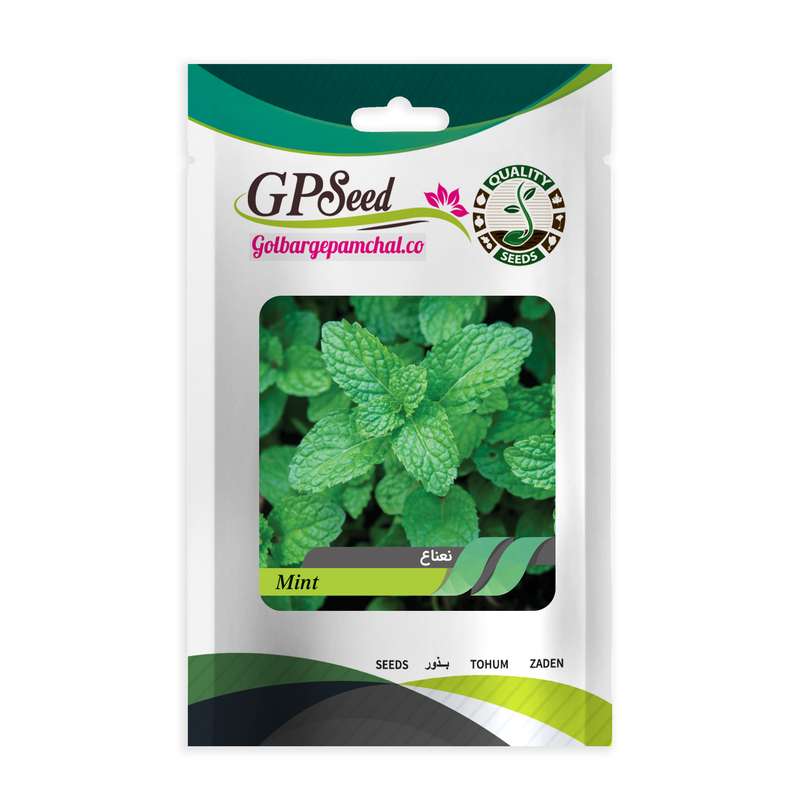 بذر نعناع گلبرگ پامچال کد GPF-329 بذر نعناع گلبرگ پامچال کد GPF-329