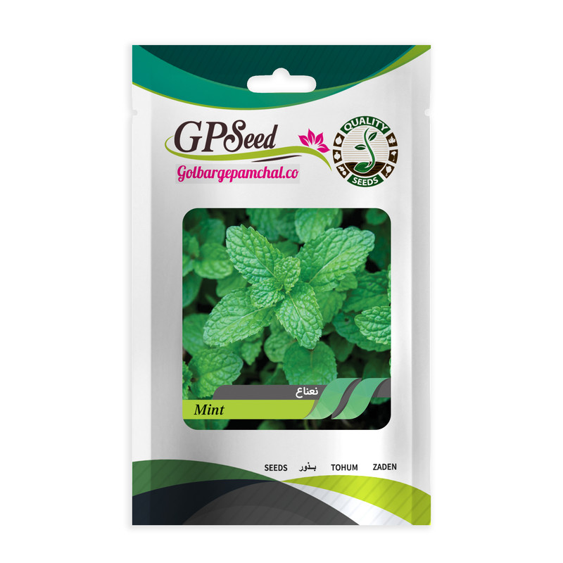 بذر نعناع و نعناع فلفلی گلبرگ پامچال کد GPF-329-278 مجموعه 2 عددی