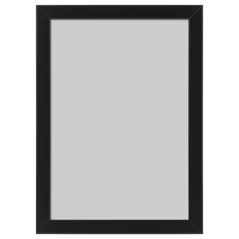 قاب عکس ایکیا مدل FISKBO-NEW سایز 30x21 سانتی متر