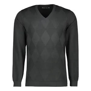 پلیور مردانه باینت مدل 932-3