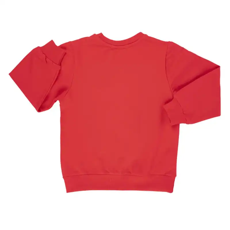 سویشرت پسرانه مدل MDSS-CG5485