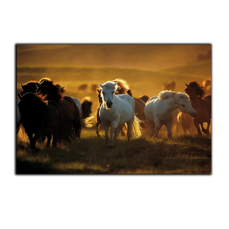 تابلو شاسی بکلیت طرح دشت و اسب مدل SH-7551