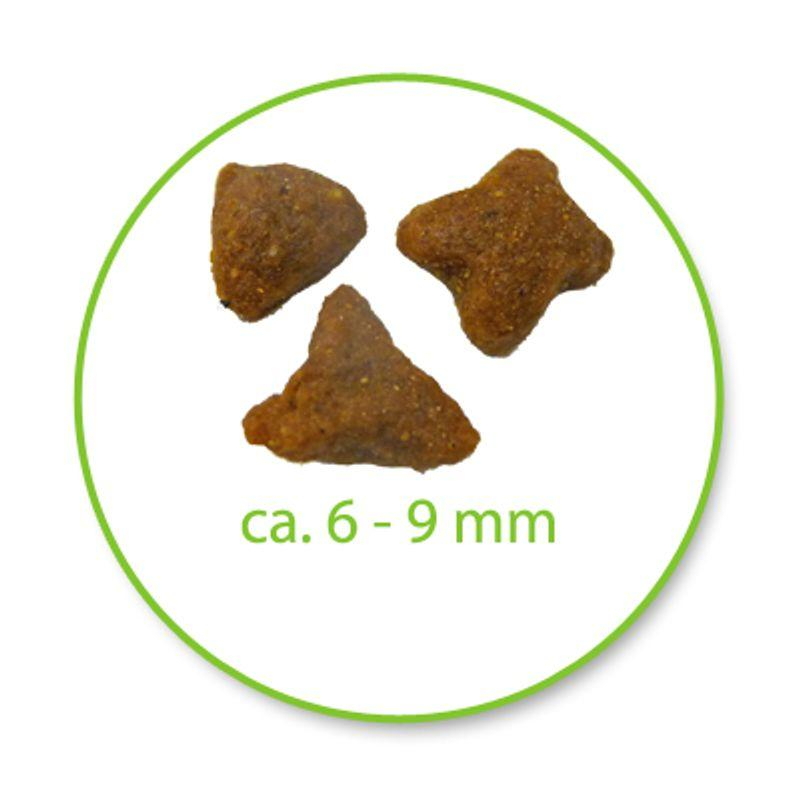 غذای خشک گربه رویال کنین مدل Sensible وزن 2 کیلوگرم