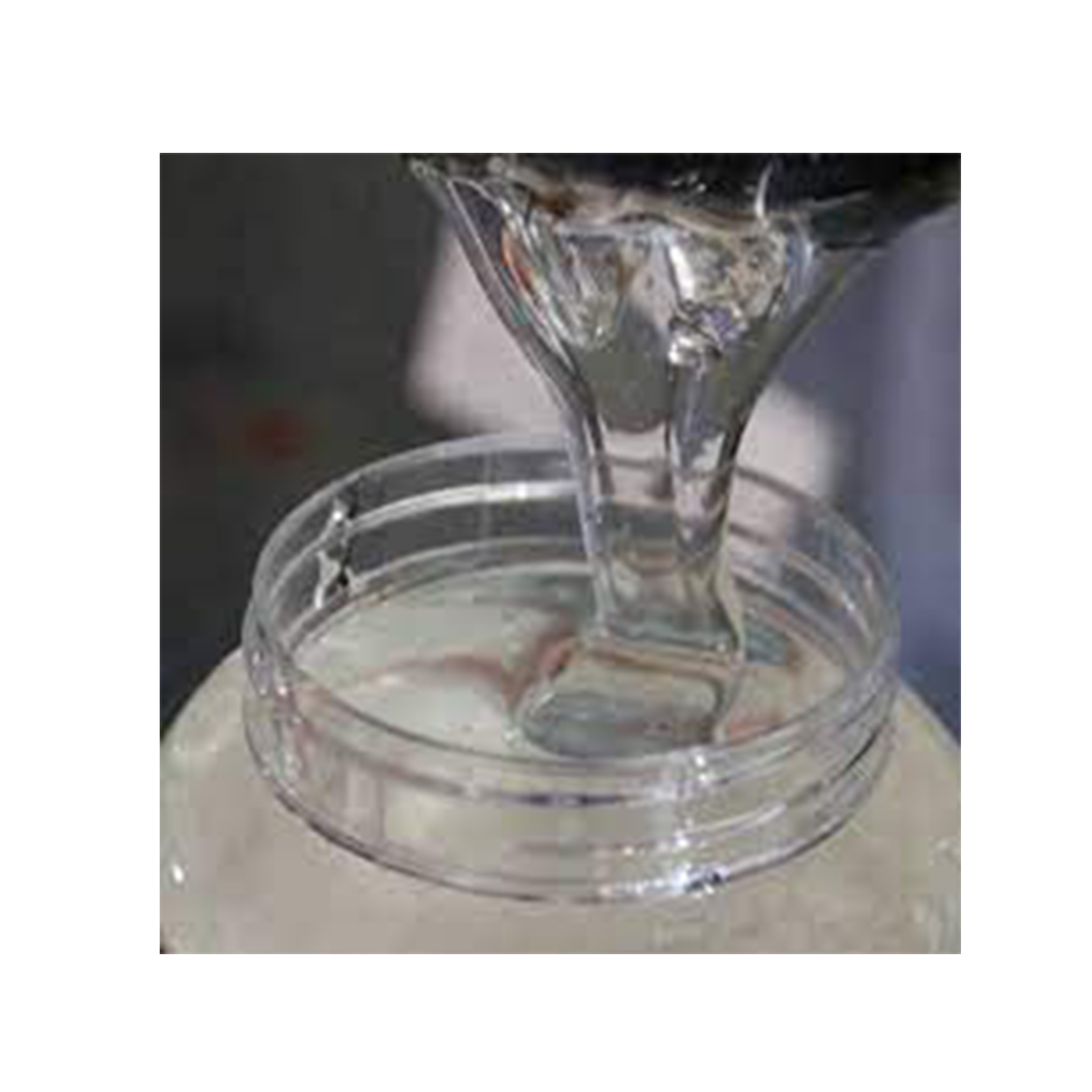 چسب چوب لکسوو مدل TP5 وزن 550 گرم