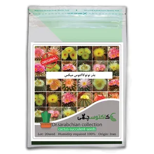 بذر نوتوکاکتوس میکس کاکتوسچی مدل AM-073
