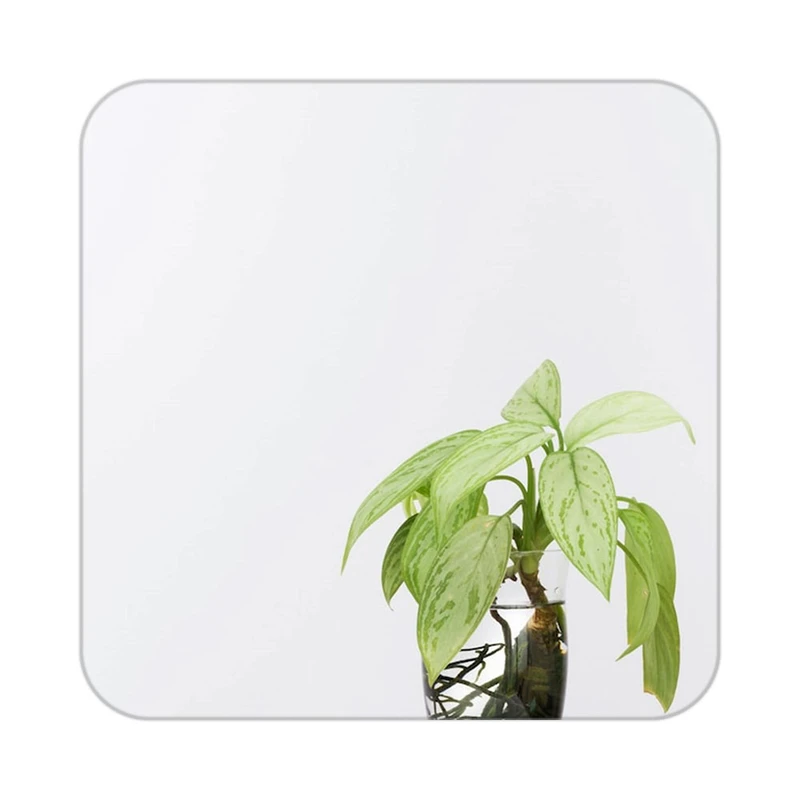 زیر لیوانی کاکتی طرح گل مدل mp17874