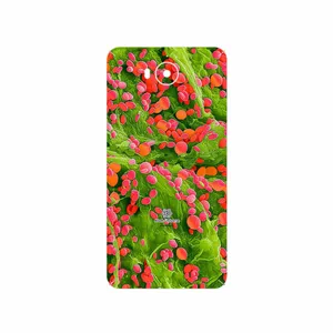 MAHOOT Atom Universe 3 Cover Sticker for Huawei Y5 2017