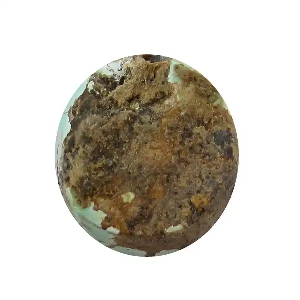 سنگ فیروزه پارلا گوهر کد 5394