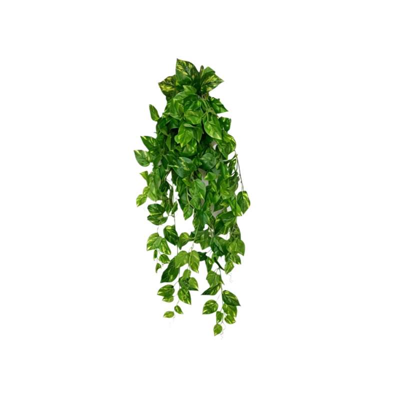 گل تزئینی طرح پتوس مصنوعی