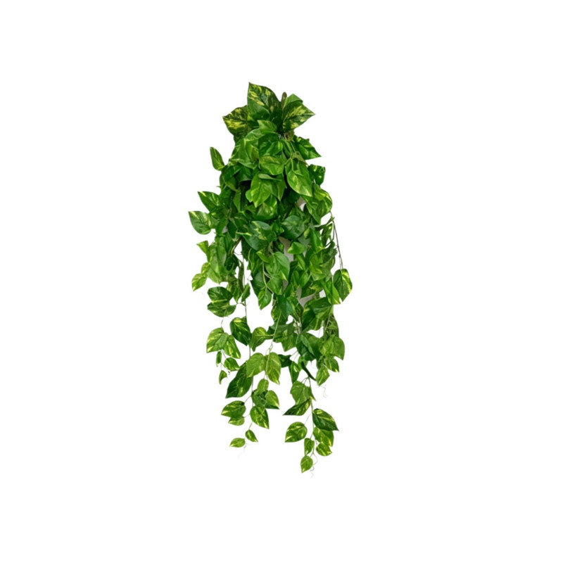 گل تزئینی طرح پتوس مصنوعی