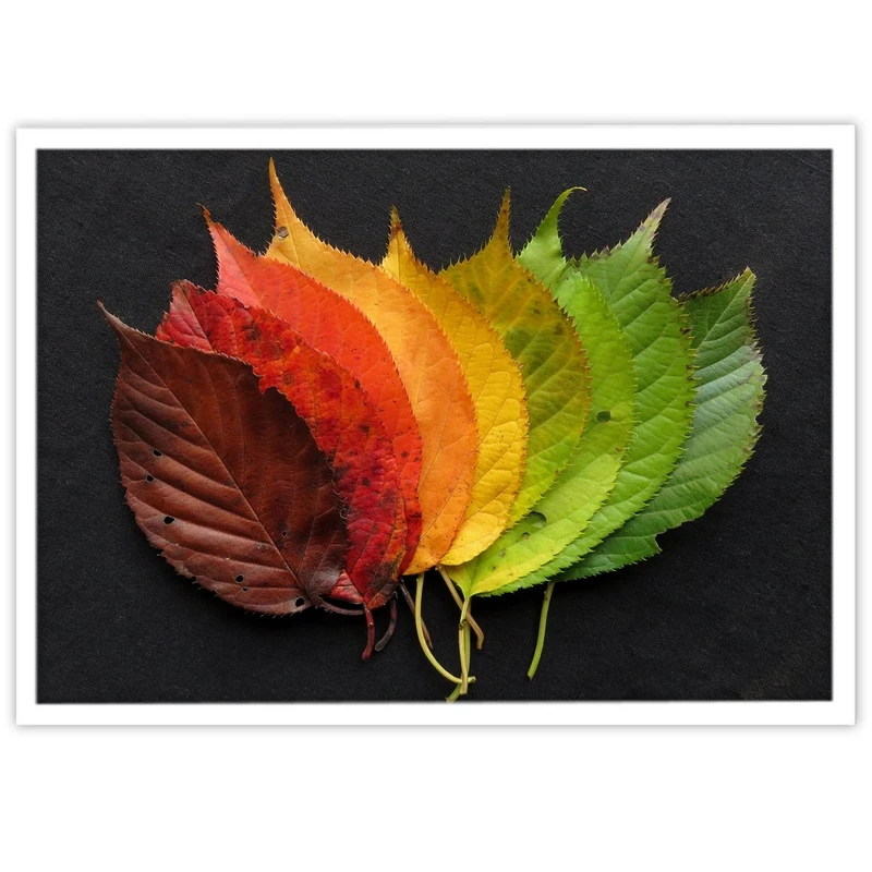 تابلو بکلیت طرح عکاسی طبیعت برگ های پاییزی مدل W-10087