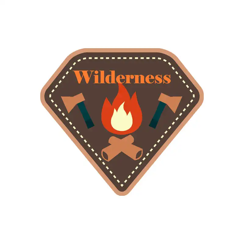 برچسب بدنه خودرو رایسان طرح camping کد st0105