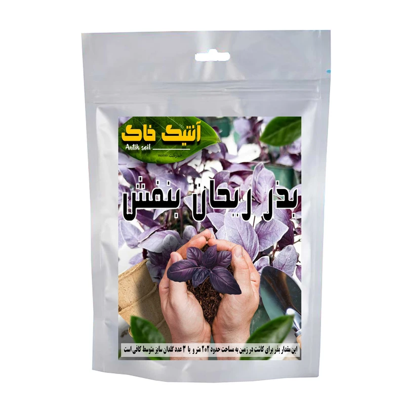 بذر ریحان بنفش آنتیک خاک مدل اصلاح شده کد Rb
