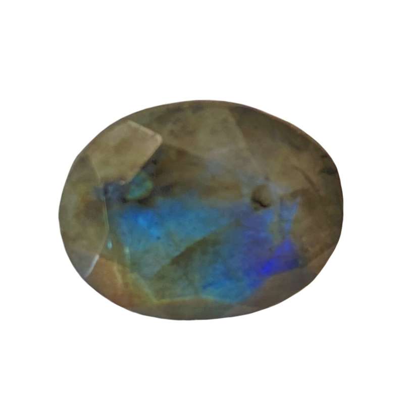 سنپ لابرادوریت کد 16