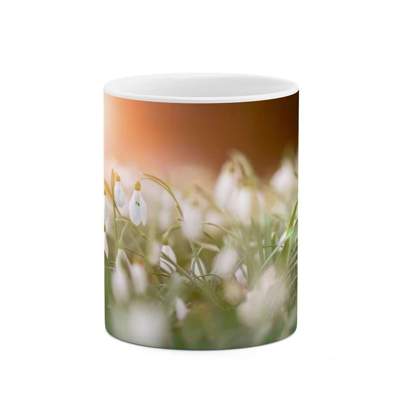 ماگ کاکتی مدل گل کد mgh16229