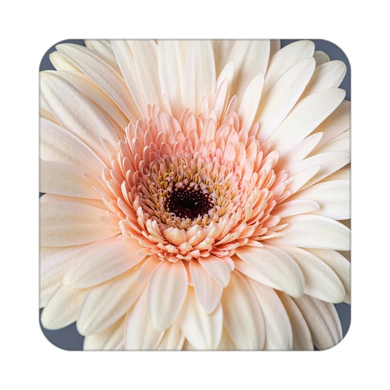 زیر لیوانی کاکتی طرح گل مدل mp16674