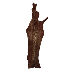چرم طبیعی مدل ساق شتر مرغ کد OL115