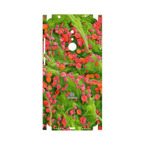 MAHOOT Atom Universe 3-FullSkin Cover Sticker for Xiaomi REDMI 5