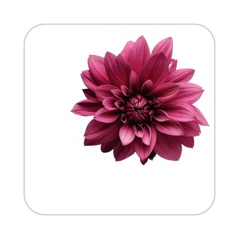 زیر لیوانی کاکتی طرح گل مدل mp18551