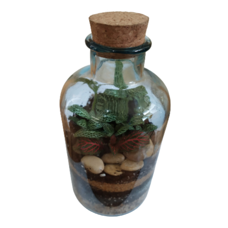 تراریوم گیاه طبیعی کد 104