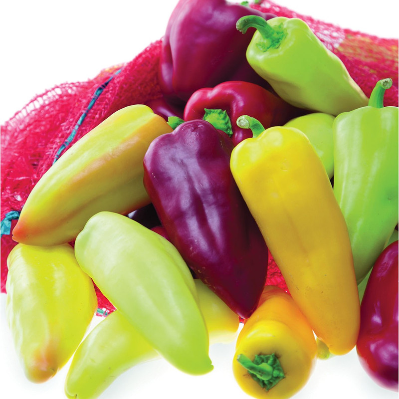 بذر فلفل پاپریکا جی پی سید مدل GP10764 بذر فلفل پاپریکا جی پی سید مدل GP10764