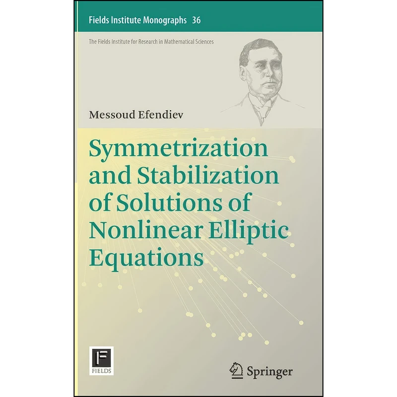 کتاب Symmetrization and Stabilization of Solutions of Nonlinear Elliptic Equations اثر Messoud Efendiev انتشارات Springer
