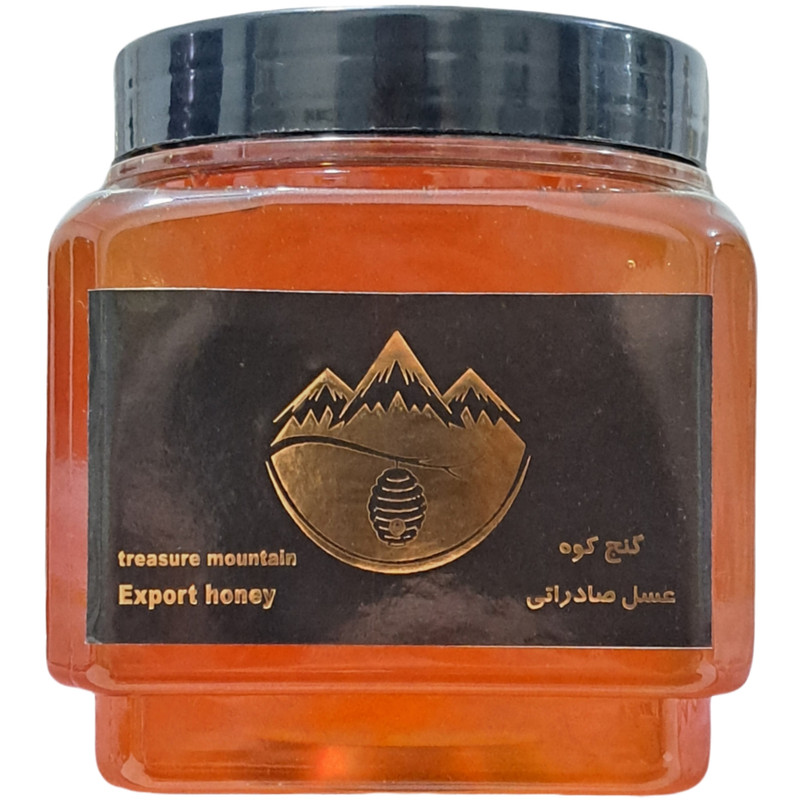 عسل چهل گیاه گنج کوه - 500 گرم