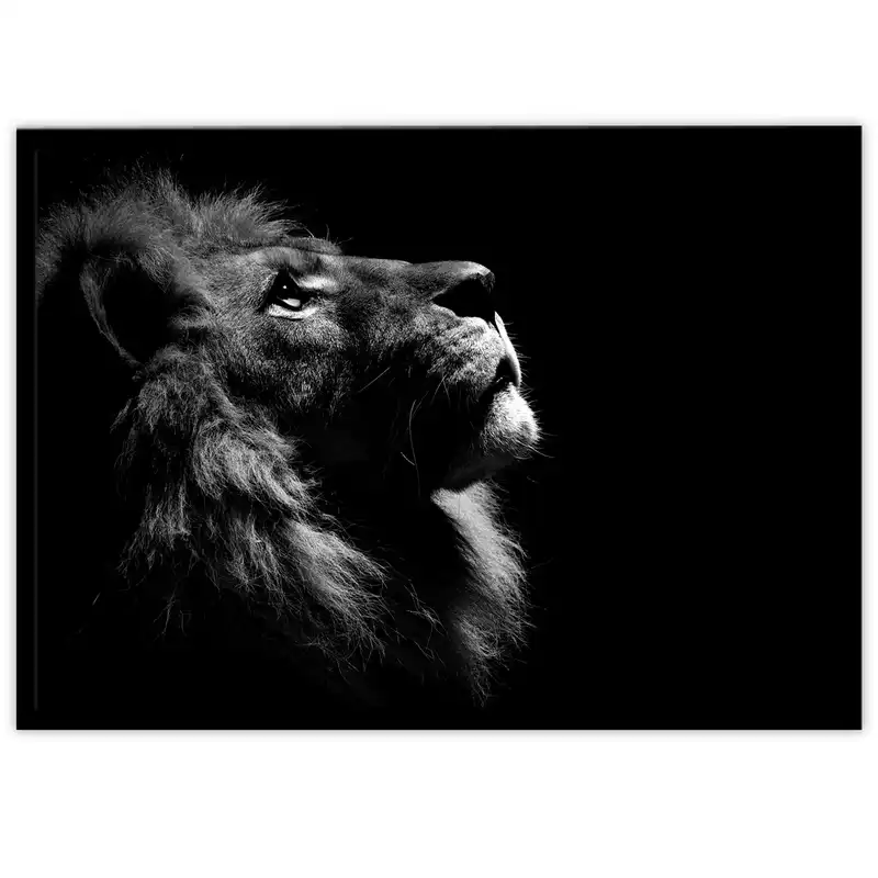 تابلو بکلیت طرح حیات وحش شیر مدل B-10283