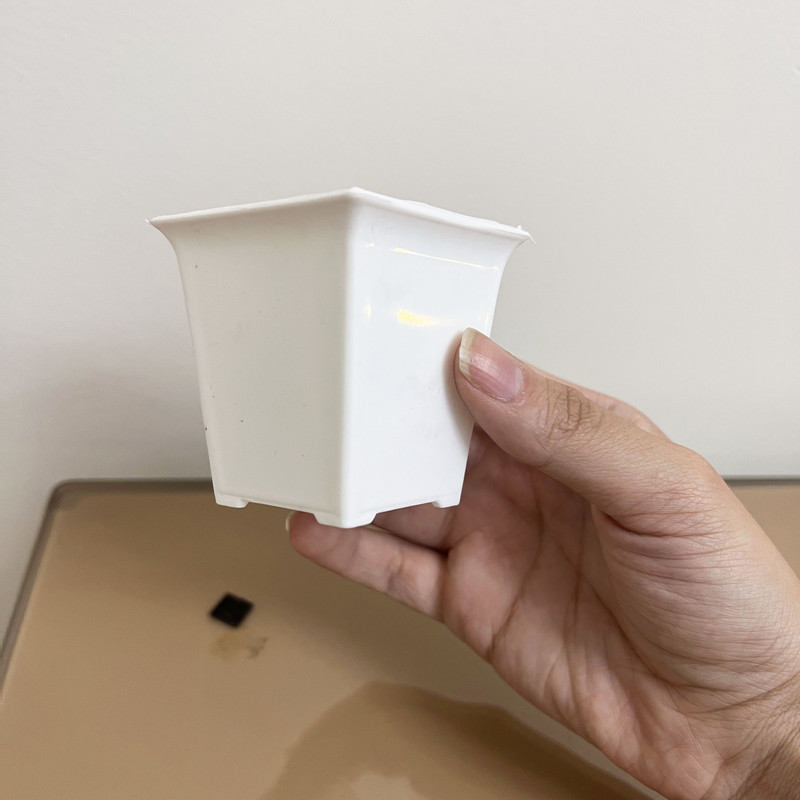 گلدان مدل مکعبی مینیاتوری مجموعه 36 عددی