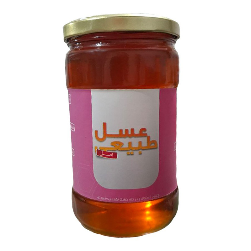 عسل کنار طبیعی - 850 گرم