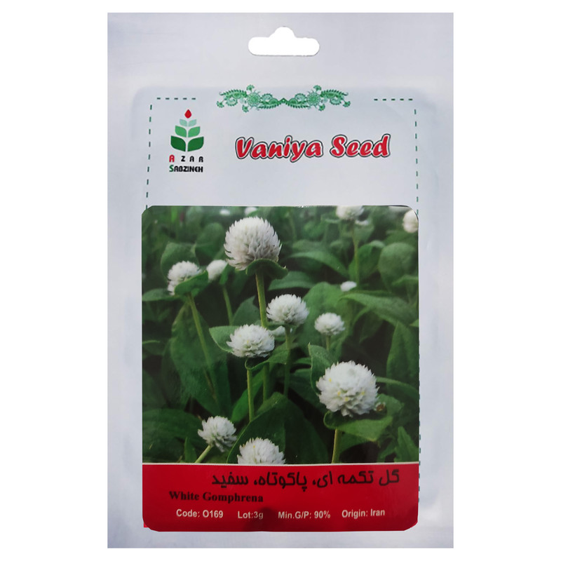 بذر گل تکمه ای پاکوتاه سفید آذر سبزینه مدل O160 بسته 3 عددی
