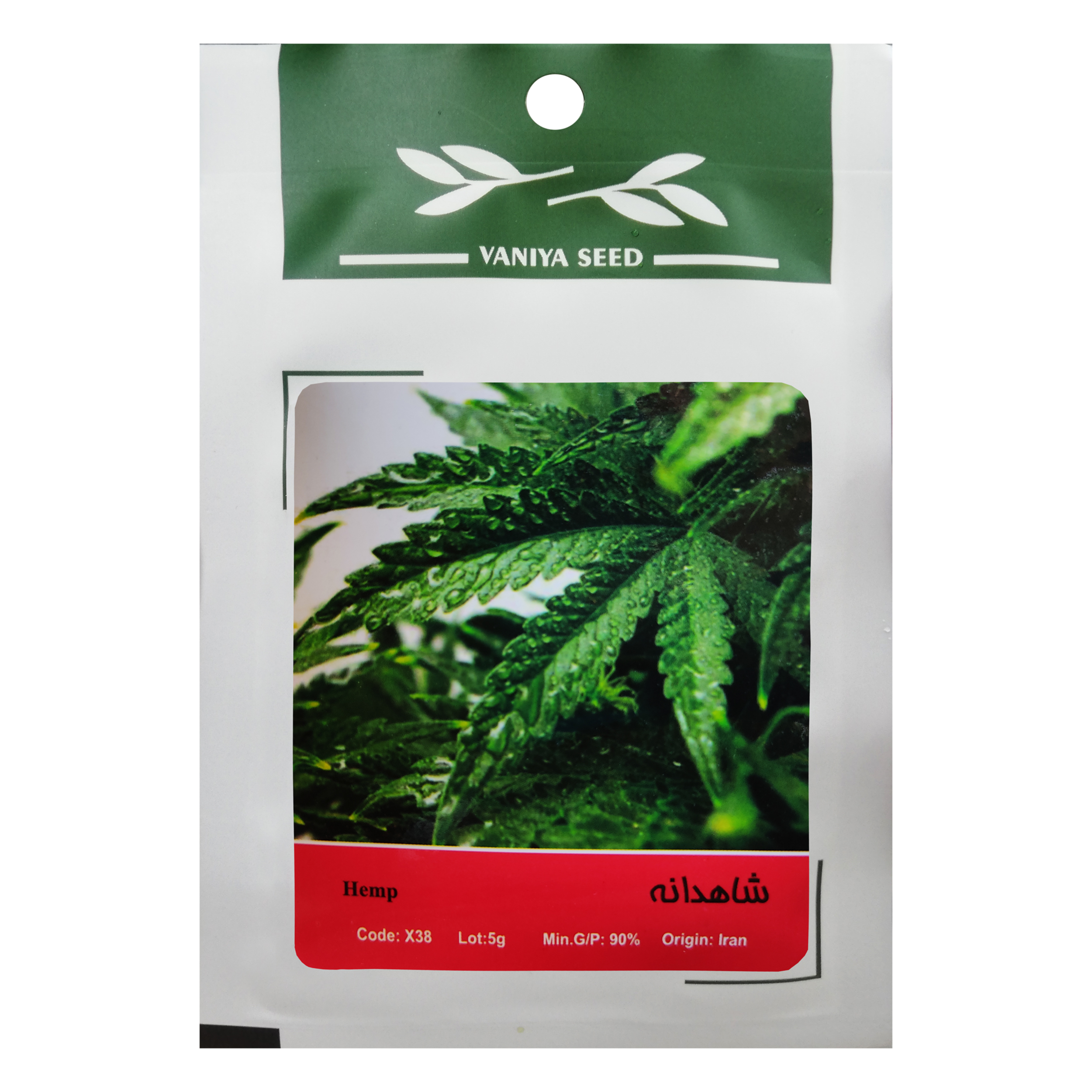 بذر گیاه شاهدانه وانیا سید مدل X38