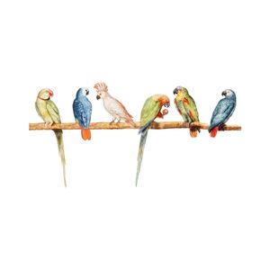 نقد و بررسی استیکر گراسیپا مدل طوطی های رنگی توسط خریداران