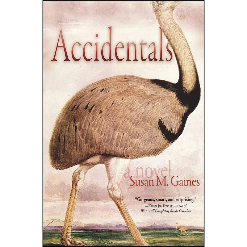 کتاب Accidentals اثر Susan M. Gaines انتشارات Torrey House Press