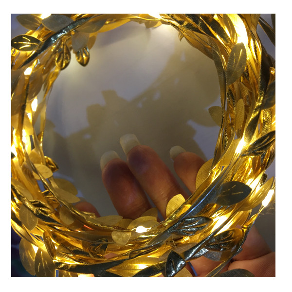 ریسه ال ای دی طرح برگ طول 5 متر