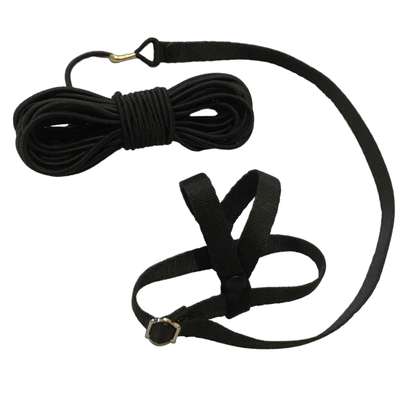 آشنایی با انواع طوطی - راهنمای خرید انواع غذای خشک و تشویقی و لوازم و تجهیزات نگهداری و آموزش طوطی ها