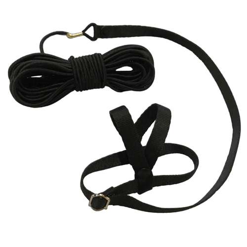 آشنایی با انواع طوطی - راهنمای خرید انواع غذای خشک و تشویقی و لوازم و تجهیزات نگهداری و آموزش طوطی ها