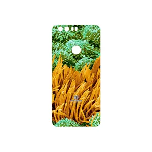 MAHOOT Atom Universe 6 Cover Sticker for Honor 8