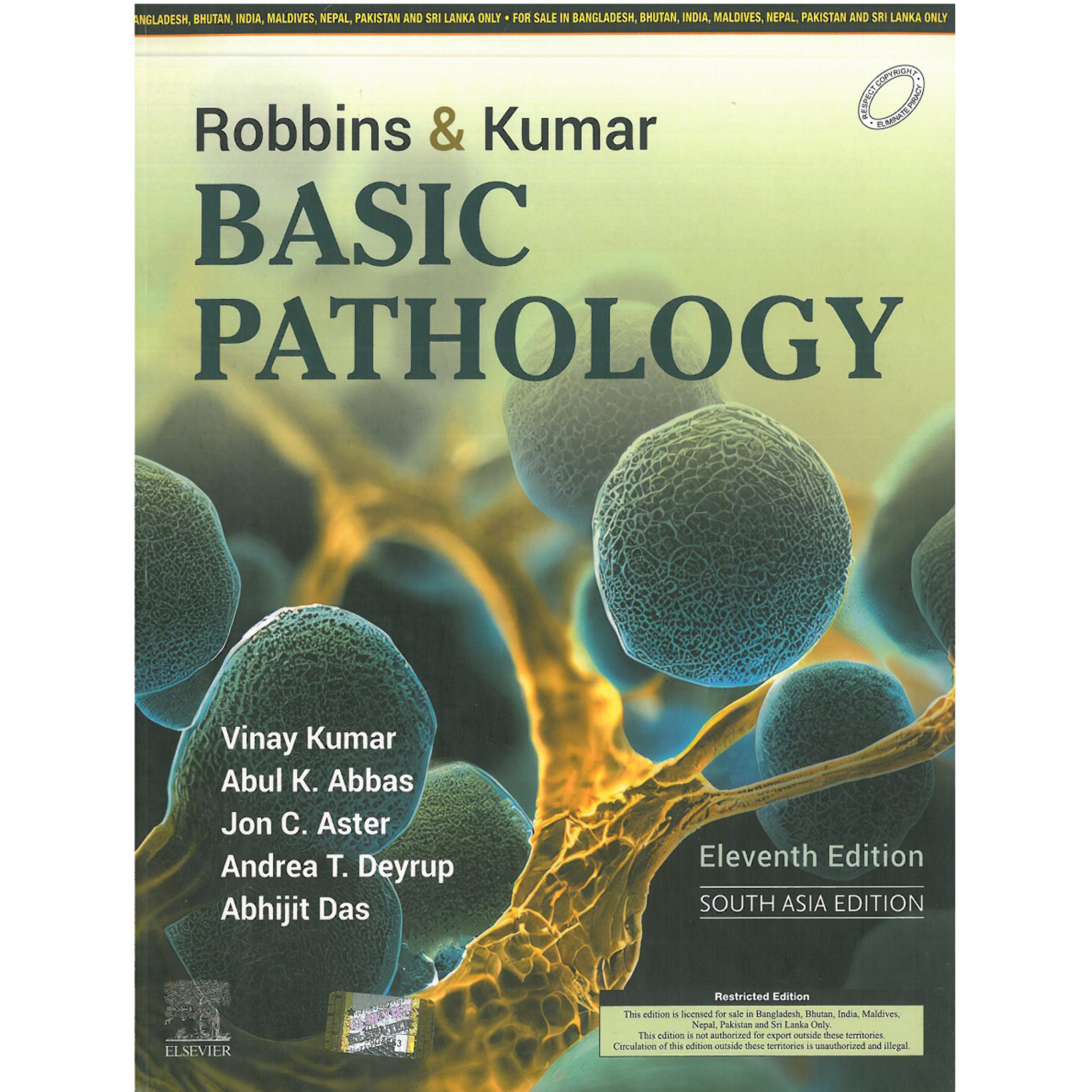 قیمت و خرید کتاب Robbins & Kumar Basic Pathology 11th Edition اثر Vinay ...