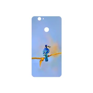 MAHOOT Cyanocitta cristata Cover Sticker for Huawei Nova