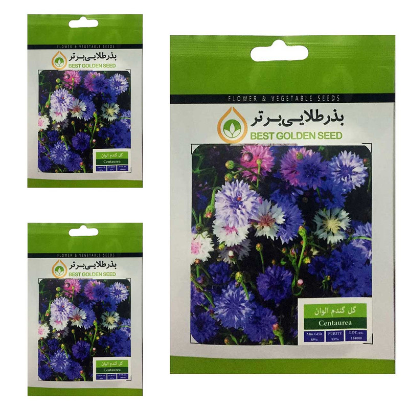 بذر گل گندم الوان بذر طلایی برتر کد BTB-29 مجموعه 3 عددی