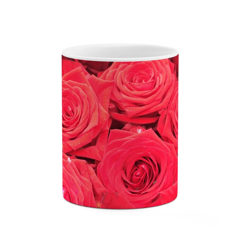 ماگ کاکتی طرح گل کد mgp11231