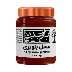 عسل بلوبری عموعطار بارجین - 700 گرم