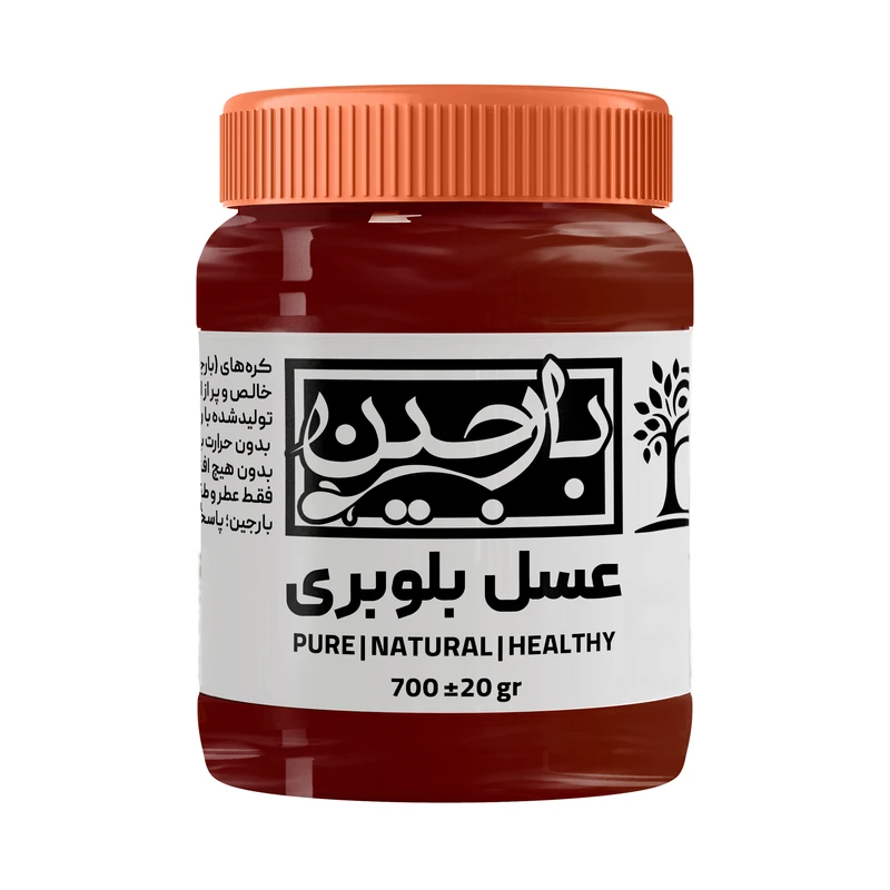 عسل بلوبری عموعطار بارجین - 700 گرم