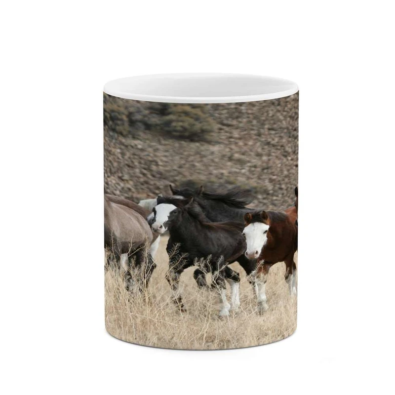 ماگ کاکتی مدل اسب کد mgh24143